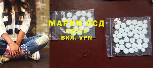прущие грибы Новозыбков