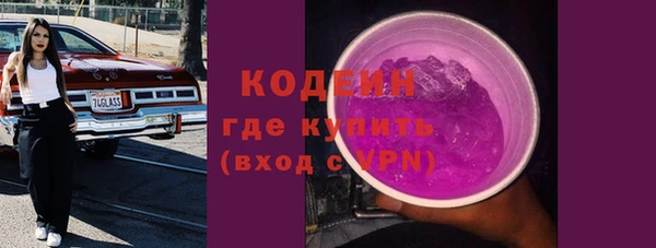 хмурый Осинники
