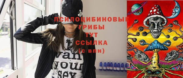 дмт Алексин