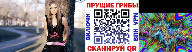 Галлюциногенные грибы MAGIC MUSHROOMS  Лебедянь 